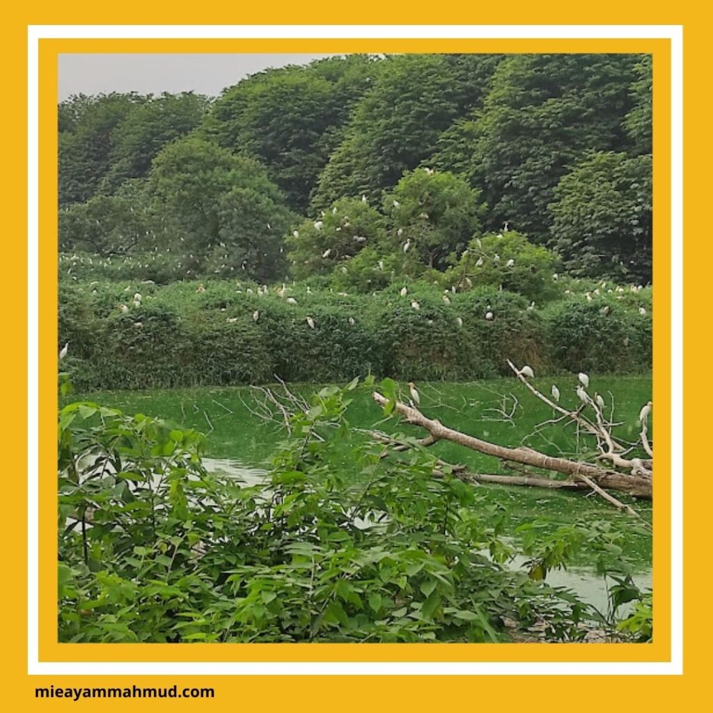 Tempat Piknik di Medan yang Seru Cocok untuk Bersantai