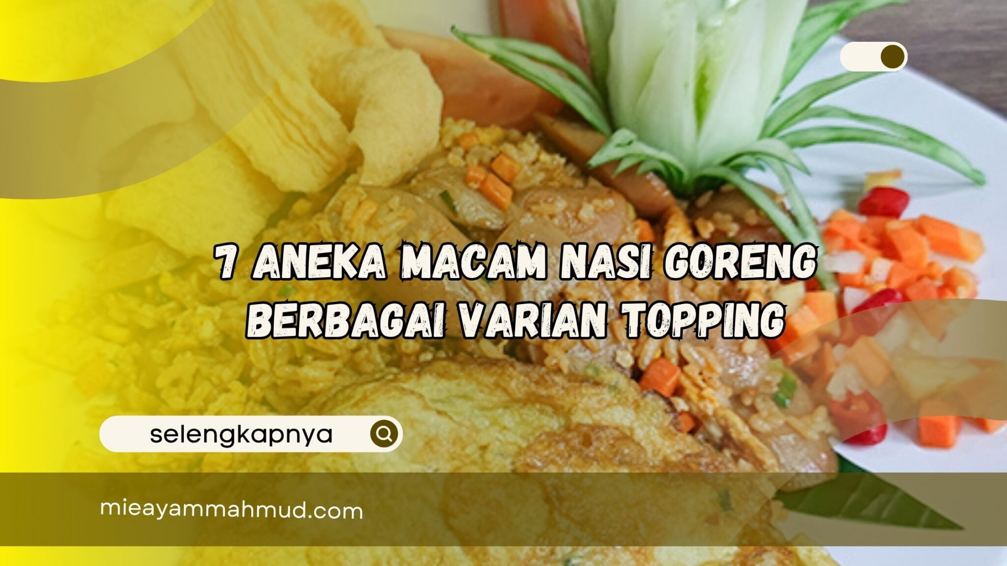 7 Aneka Macam Nasi Goreng Berbagai Varian Topping