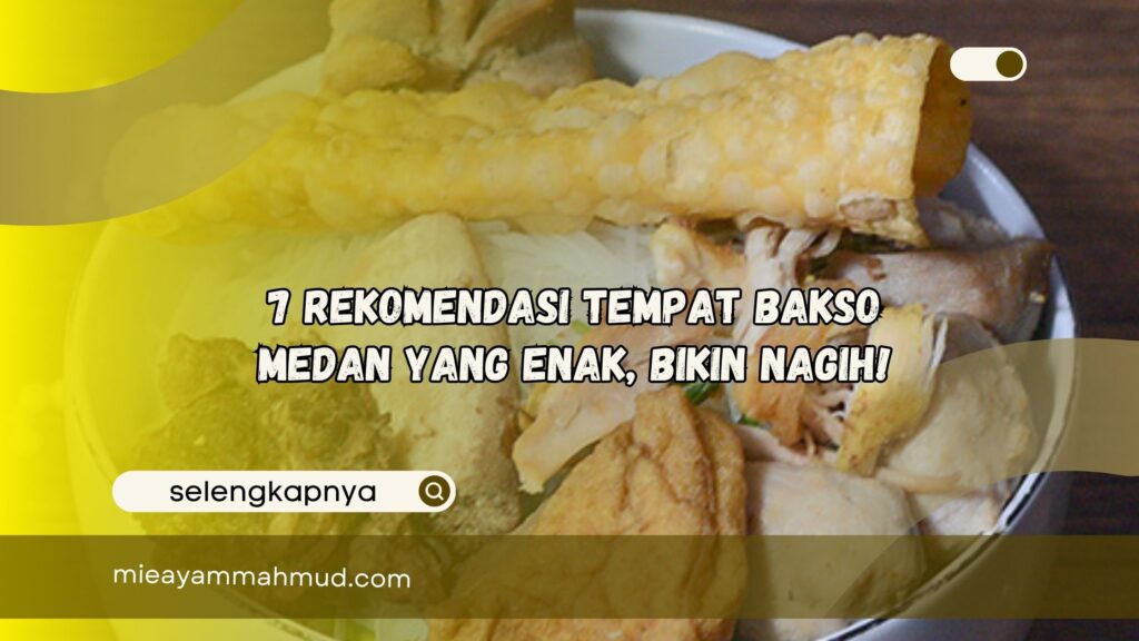 Rekomendasi Tempat Bakso Medan yang Enak