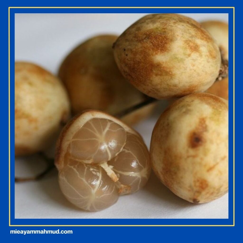 7 Buah Buahan Khas Medan - Rambai