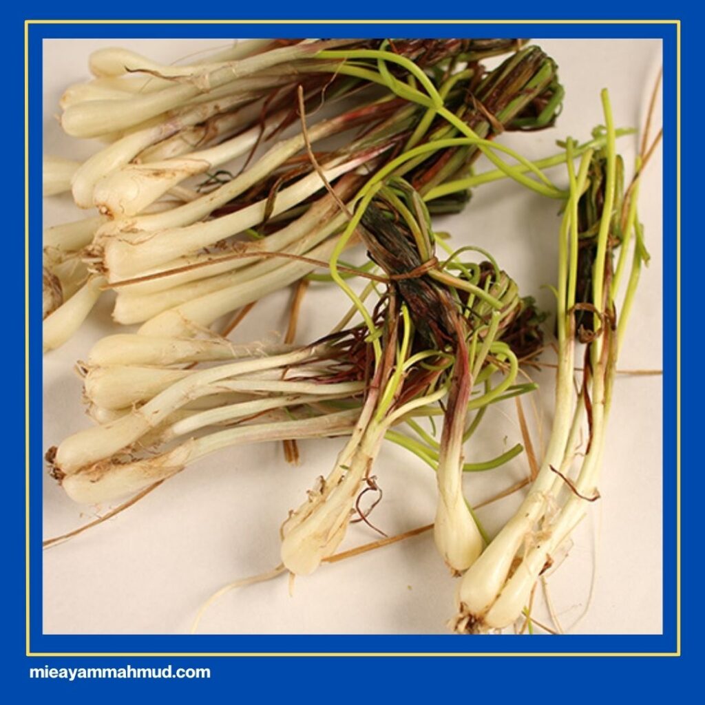 Bawang Batak Khas Medan Versi Populer