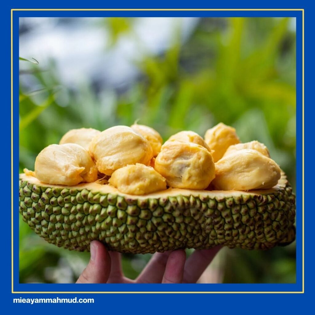 Buah Khas Medan Campedak