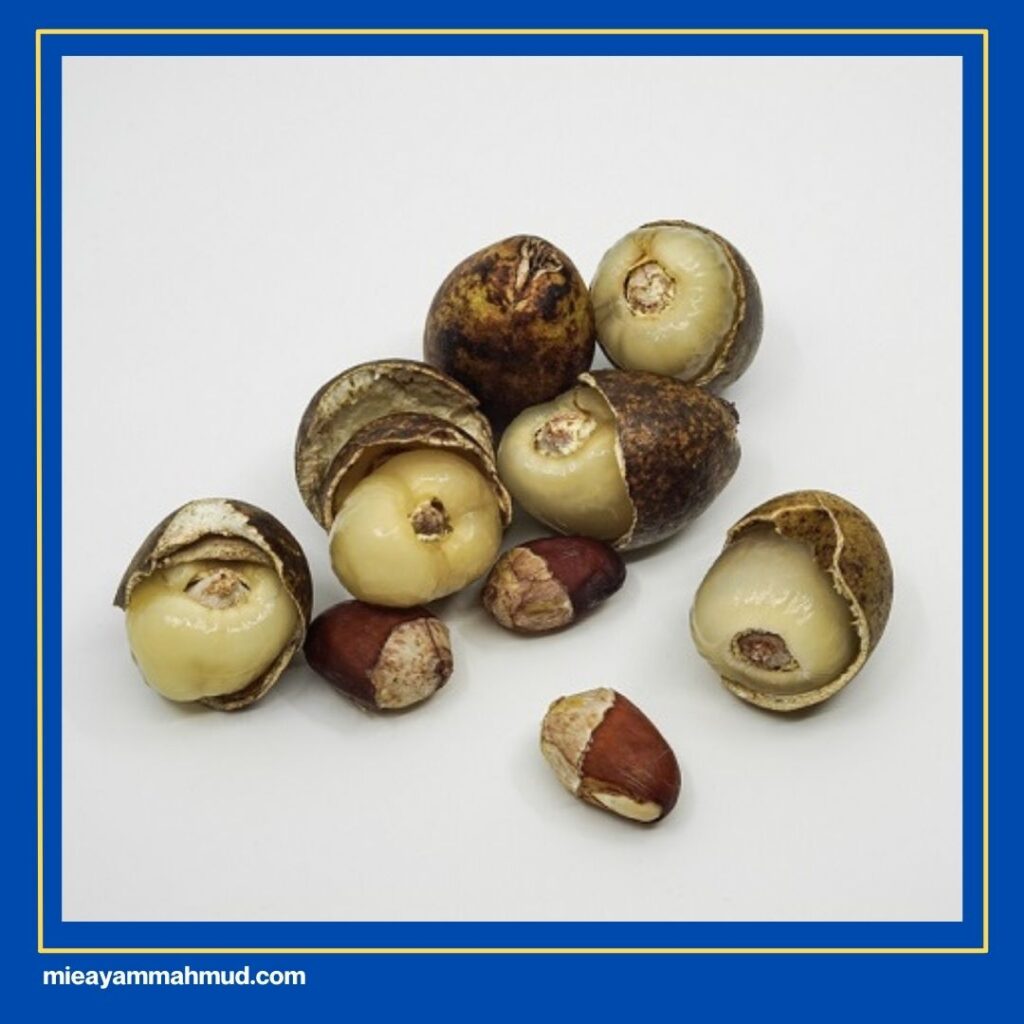 Matoa Buah Buahan Khas Medan