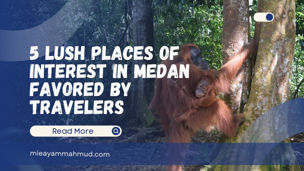 5 Lush Places of Interest in Medan Favored by Travelers