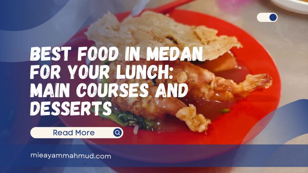 Best Food in Medan for Your Lunch Main Courses
