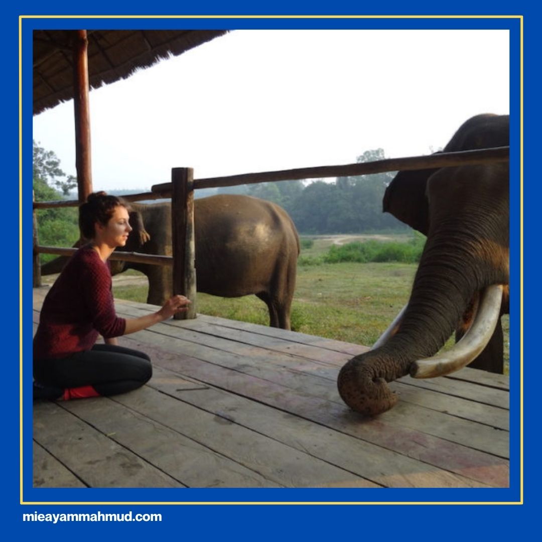 Places of Interest in Medan