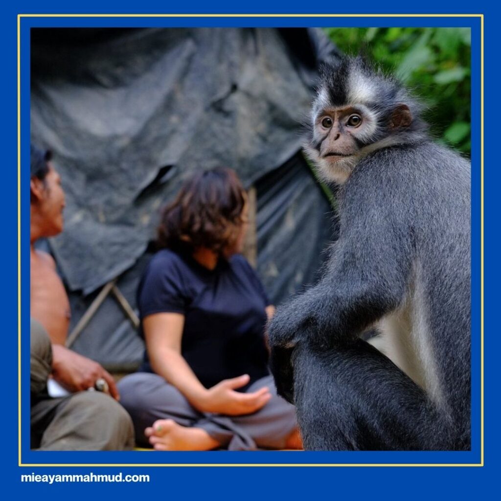 Things To Do In Medan