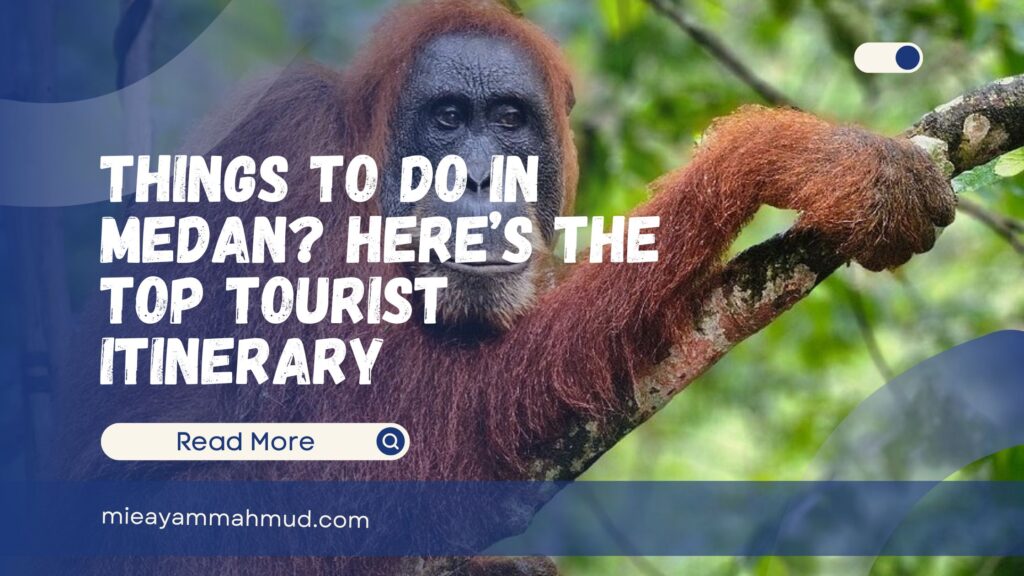 Things To Do In Medan Here’s The Top Tourist Itinerary