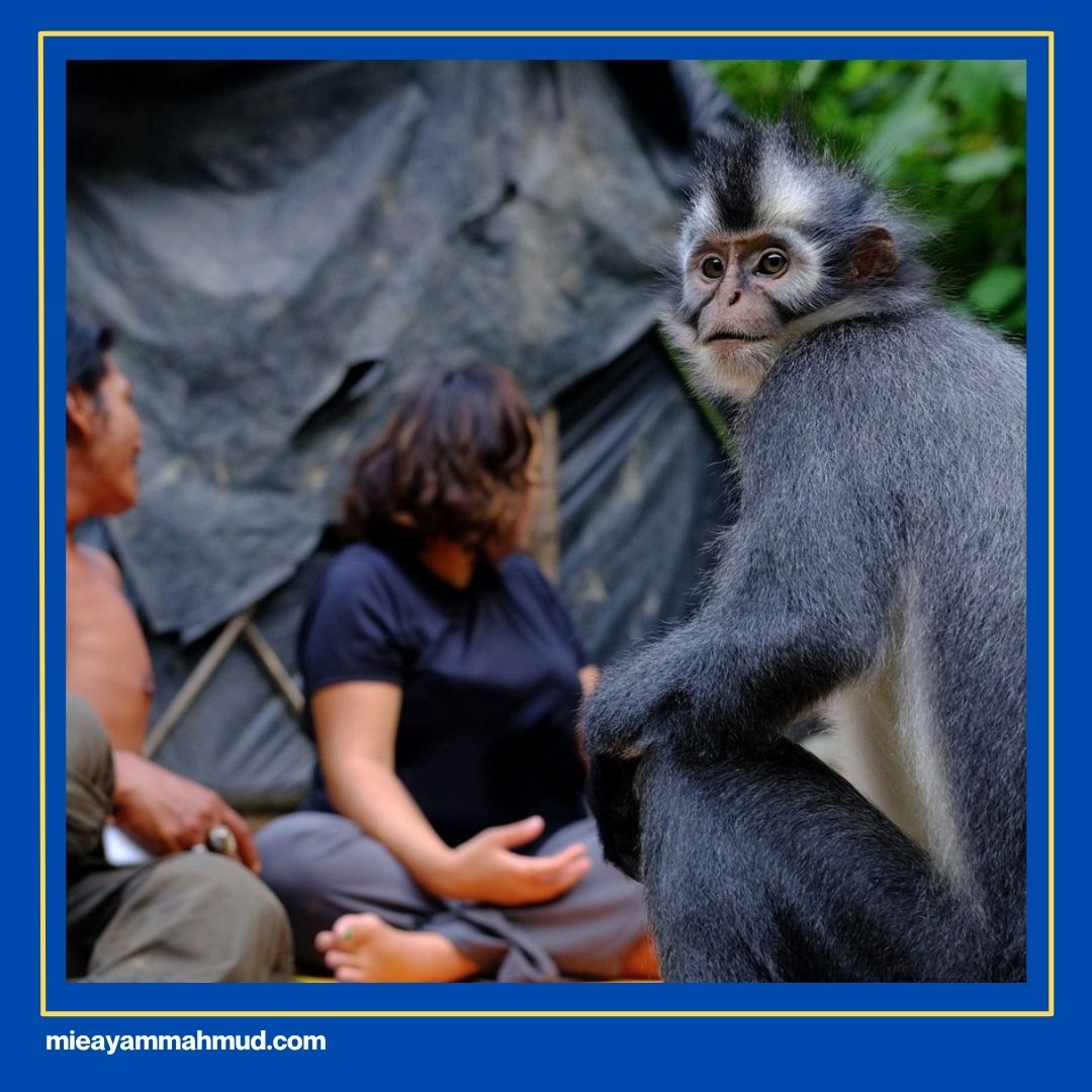 Things To Do In Medan