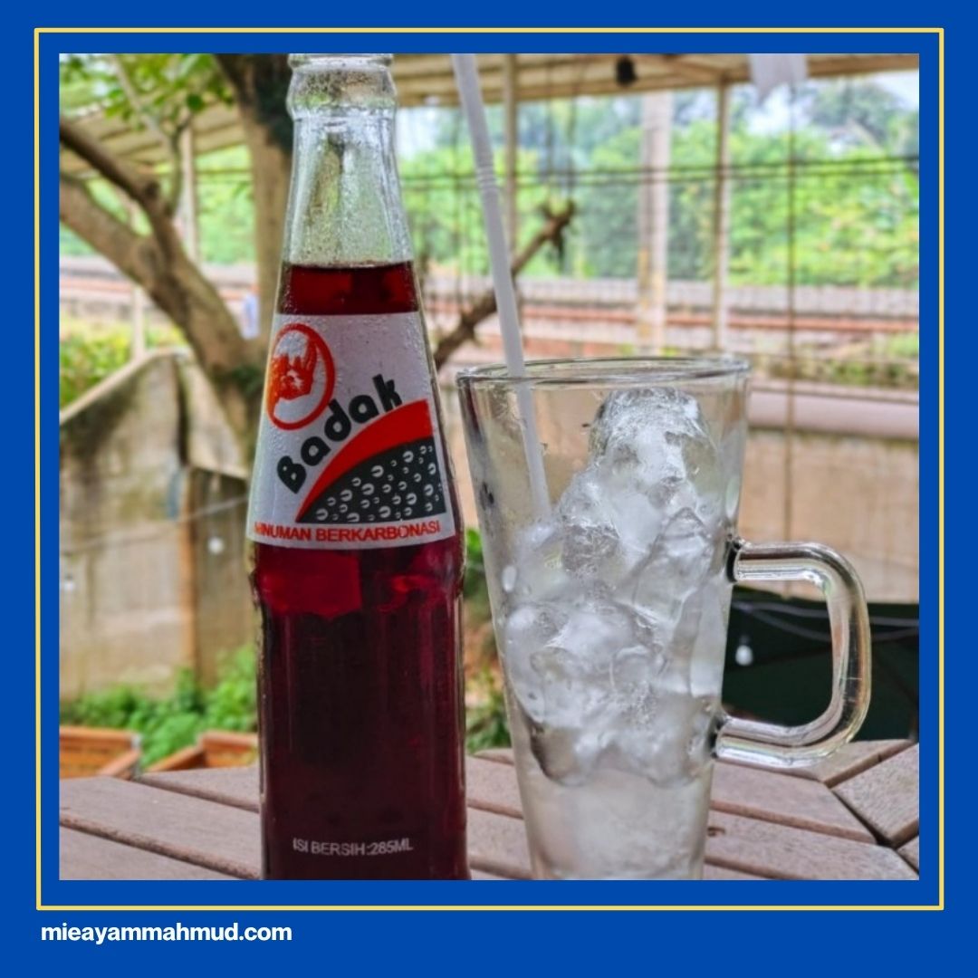Sarsaparilla