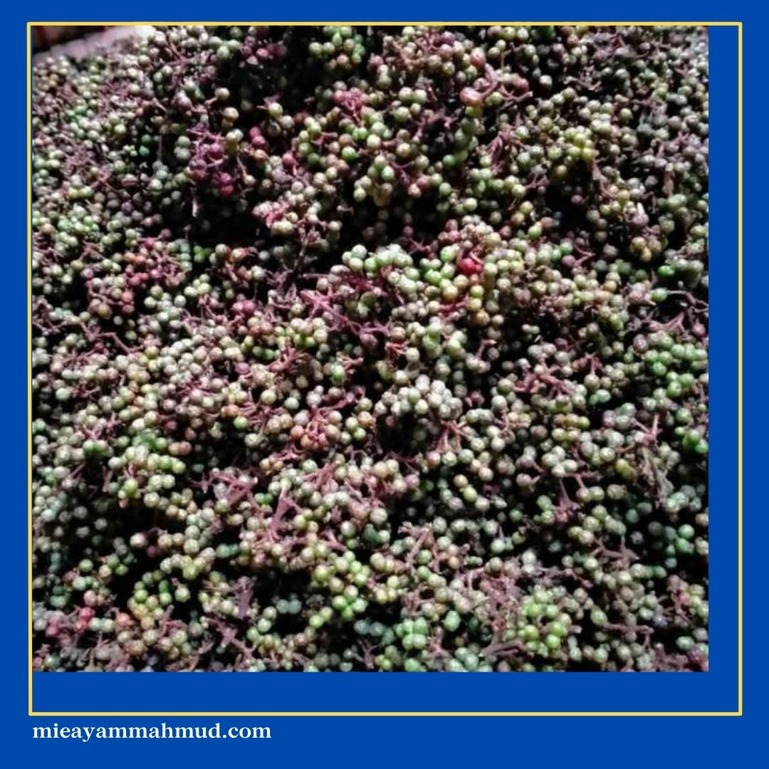 Cara buat mie gomak khas medan 