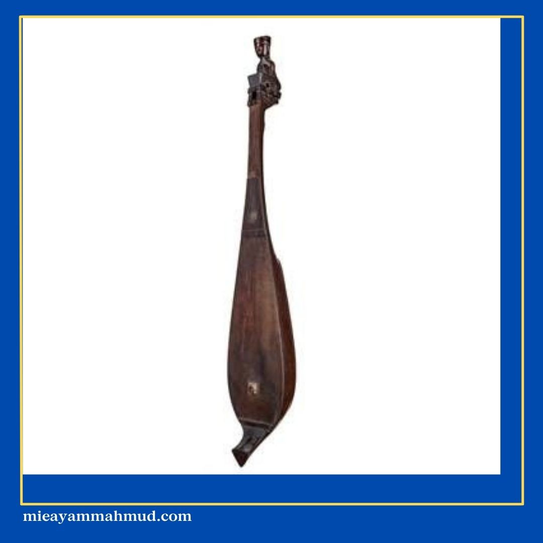 Alat musik khas daerah Medan