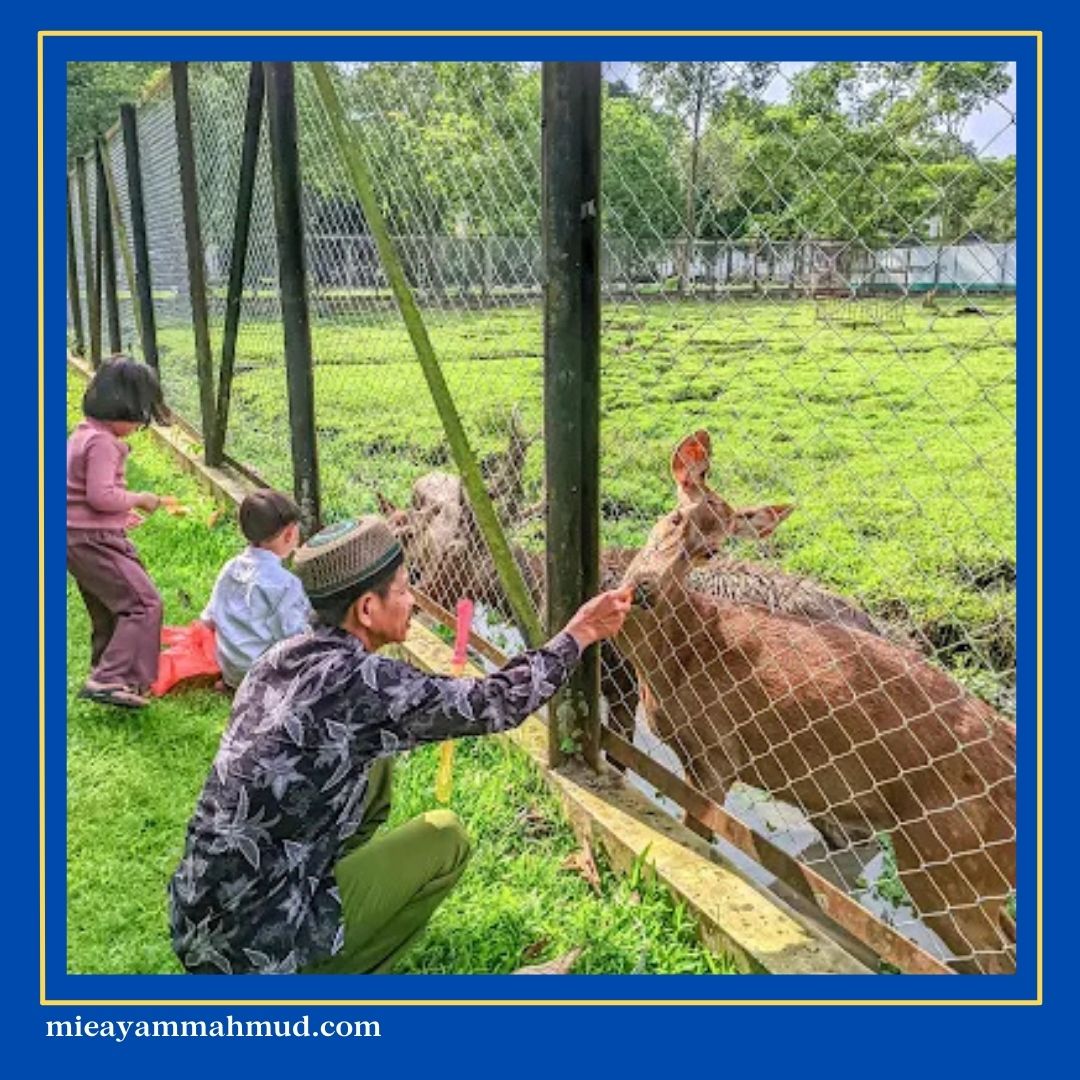 9 Things to Do in Medan with Family - Mie Ayam Jamur H. mahmud