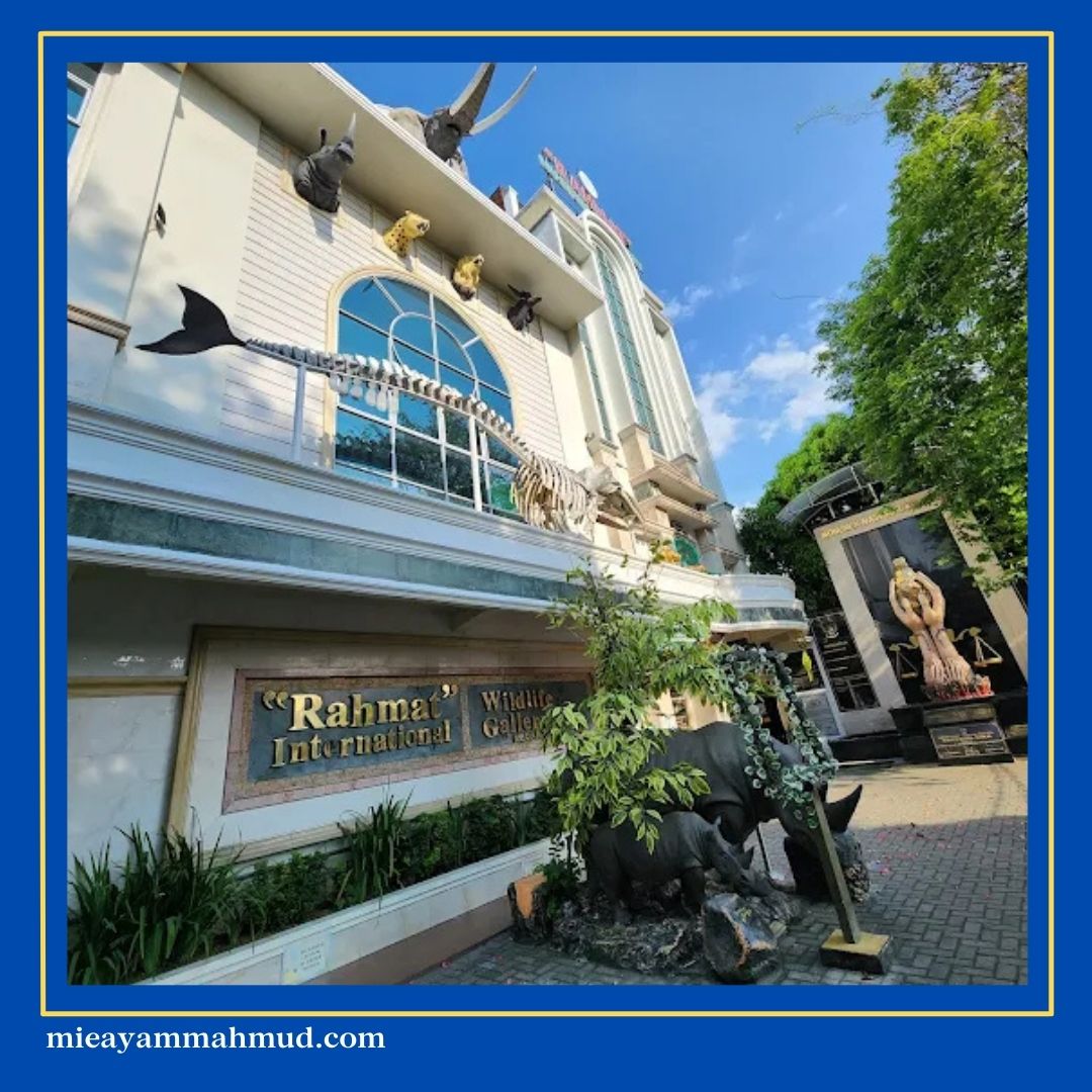 Things to Do in Medan with Family for Learning - Mie Ayam Jamur H. mahmud