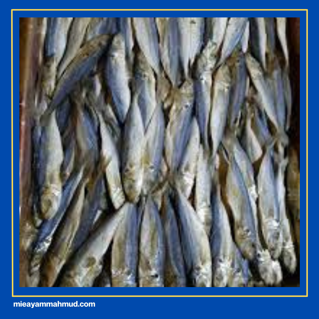 jenis ikan asin