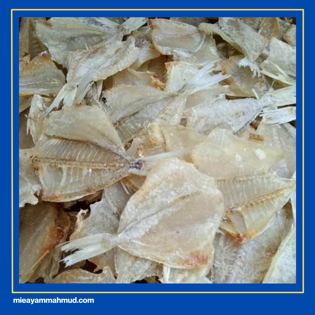 jenis ikan kering
