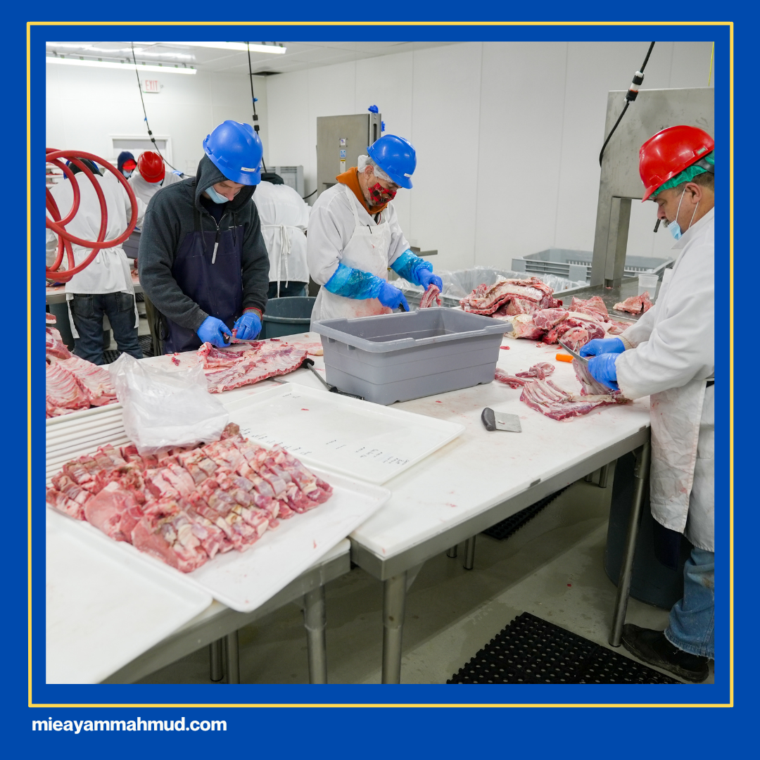 Tips memilih ayam segar